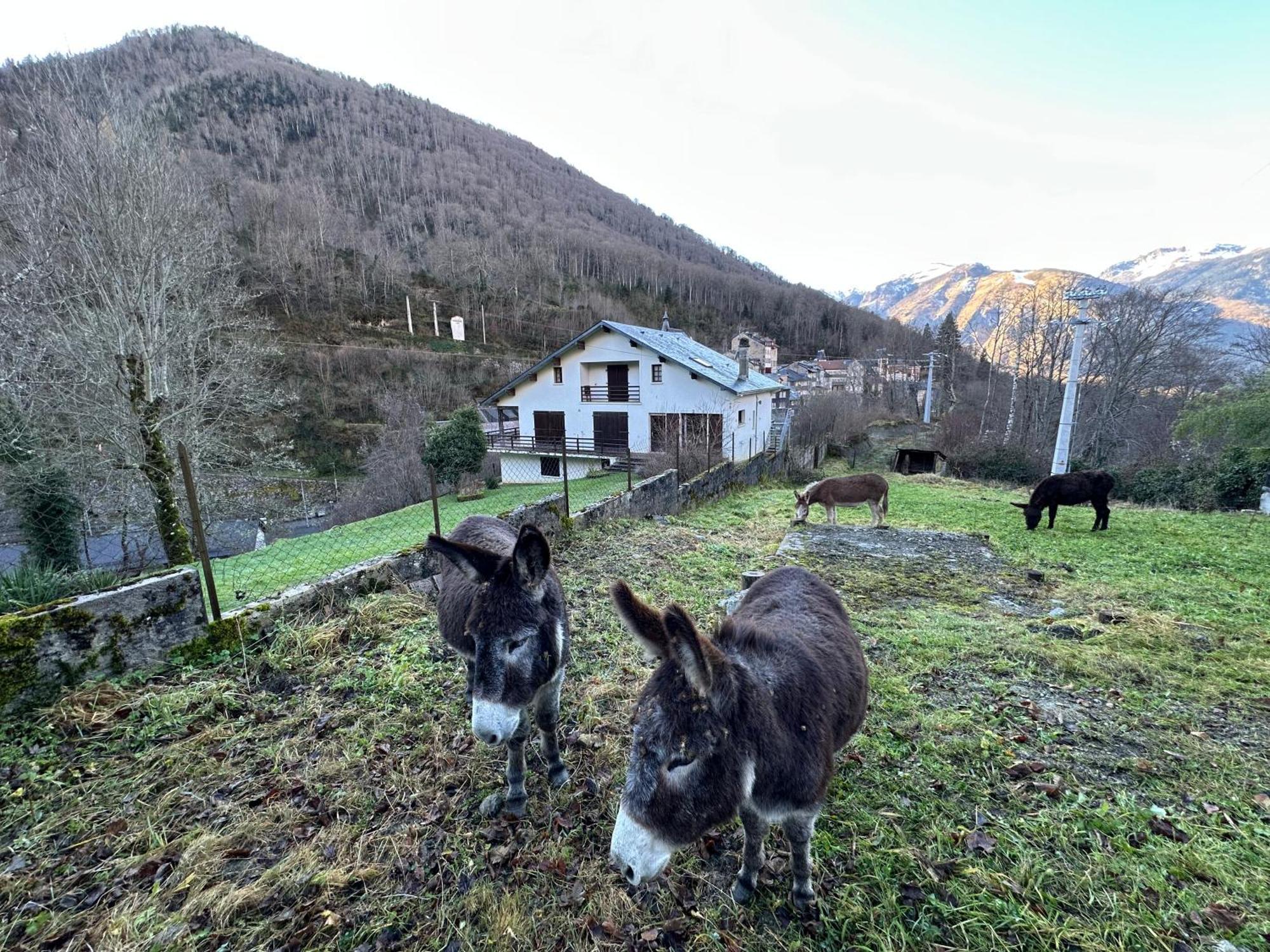 Chalet Artigalas Eaux Bonnes Bagian luar foto